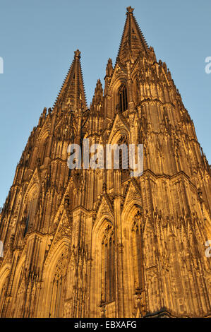 West-Verkleidung der Kölner Dom, Deutschland, Nordrhein-Westfalen, Köln Stockfoto