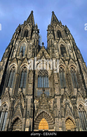 Kölner Dom, Deutschland, Nordrhein-Westfalen, Köln Stockfoto