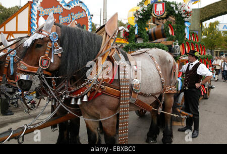 spannte Pferd Team auf dem Oktoberfest in München, Deutschland, Bayern, Muenchen Stockfoto