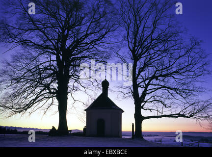 kleine Kapelle bei Sonnenuntergang, im Winter zwischen zwei Bäumen, Deutschland Stockfoto