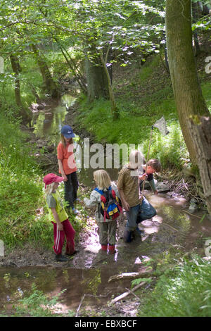 eine Gruppe von Kindern mit Dip net an einem Wald Bach Stockfoto