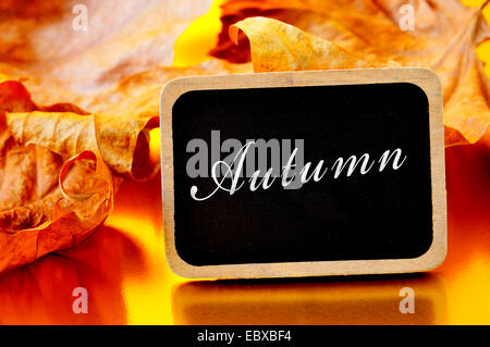 ein Haufen von getrockneten Blättern und das Wort Herbst auf eine kleine hölzerne Tafel geschrieben Stockfoto