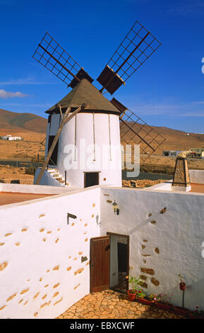 Windmühle im Museum Centro de Interpretacion de Los Molinos, Kanarischen Inseln, Fuerteventura, Tiscamanita Stockfoto