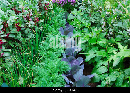 Thomas Telford Tollhouse Schaugarten, Bauerngarten, RHS Chelsea Flower Show 2007, London, Großbritannien. Stockfoto