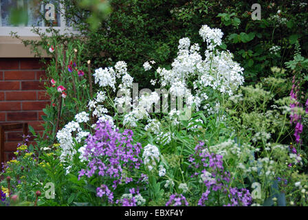 Thomas Telford Tollhouse Schaugarten, Bauerngarten, RHS Chelsea Flower Show 2007, London, Großbritannien. Stockfoto