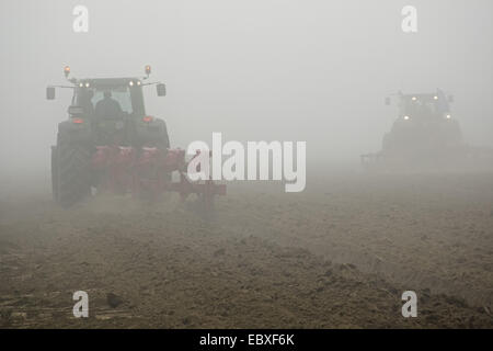 Traktor in Aktion, Ost-Flandern, Belgien-Heurne Stockfoto