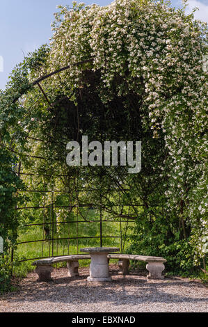 Villa Emo, Monselice, Venetien, Italien. Eine weiße banksia-Rose wächst über einer Gartenlaube und beschattet eine gekrümmte Steinbank und einen Tisch Stockfoto