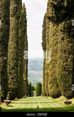 Villa Rizzardi (Giardino di Pojega), Negrar, Venetien, Italien. Eine lange Allee mit hohen Zypressen öffnet sich mit Blick auf die Landschaft der Valpolicella Stockfoto