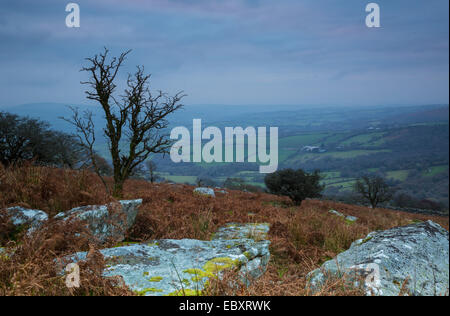 Licht des frühen Morgens von der Spitze des Sharptor auf Bodmin moor Stockfoto