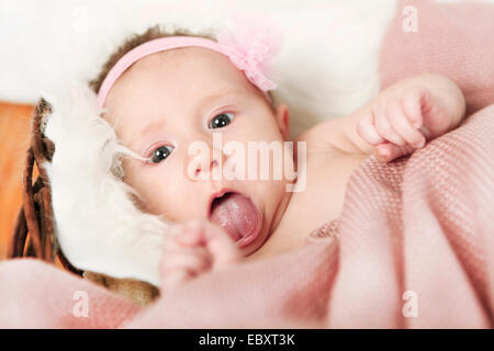 Baby streckt die Zunge und in die Kamera schaut Stockfoto