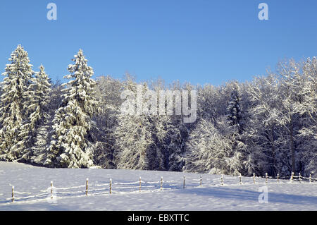 Winterlandscape bedeckt mit Schnee Stockfoto