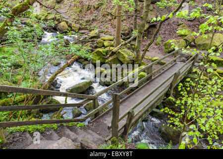 Hölzerne Brücke über einen Bach, Burbage Bach, in Padley Schlucht, Derbyshire, Peak District National Park, England, UK. Stockfoto