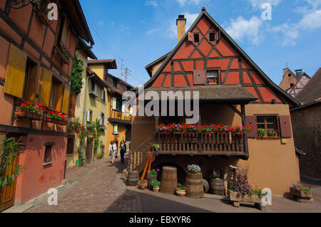 Fachwerkhäuser, Eguisheim, Elsass Wein Route, Haut-Rhin, Elsass, Frankreich, Europa Stockfoto