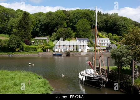 Einem frühen Sommertag an der Cornish Riverside Dorf von while neben dem Fluss while am Fowey ins Meer mündet. Stockfoto