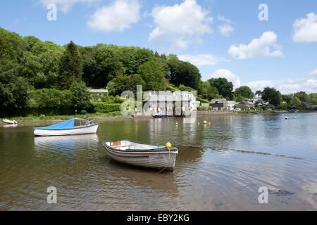 Einem frühen Sommertag an der Cornish Riverside Dorf von while neben dem Fluss while am Fowey ins Meer mündet. Stockfoto