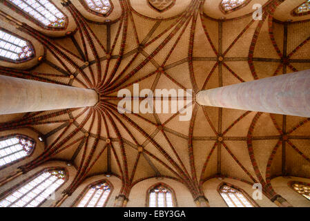 Palm oder Palmier Design auf das Gewölbe der gotischen Kirche der Jakobiner oder Eglise Jacobins Kirche (1230) Toulouse Haute-Garonne Frankreich Stockfoto