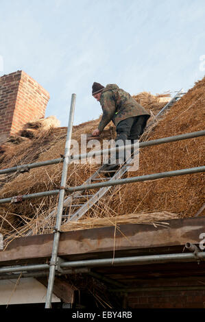 Lee Miller Master Thatcher thatching Dach Stockfoto