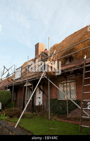 Lee Miller Master Thatcher thatching Dach Stockfoto