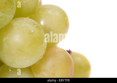 Weiße Trauben mit Wassertropfen. Studio-Makroaufnahme Stockfoto