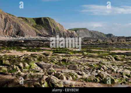 Felsigen Steilhang in Sandymouth, North Devon Stockfoto