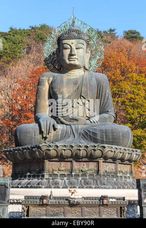 Statue von Buddha und bunt der Baum im Herbst im alten Tempel im Seoraksan Nationalpark, Korea Stockfoto