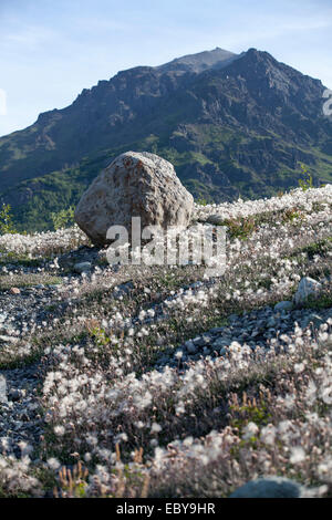 Kennicott Gletscher, Wrangell-St.-Elias-Nationalpark & Preserve, Alaska, USA Stockfoto