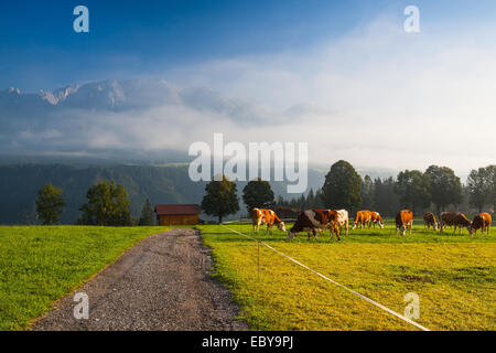 Auf einer Farm in den Bergen Österreichs Stockfoto