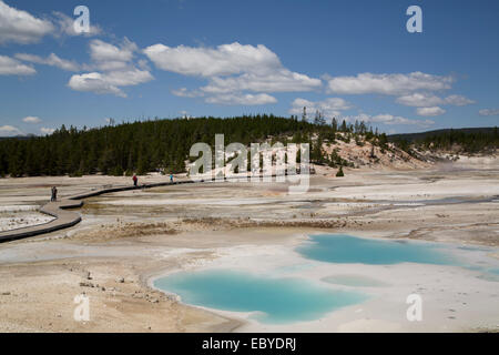 USA, Wyoming, Yellowstone Nationalpark, Norris Geyser Basin, Porzellan-Becken Stockfoto