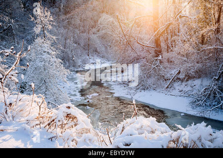 Winterlandschaft von Schnee bedeckt Wald und fließenden Bach nach Winter Schneesturm im warmen Sonnenschein Leuchten. Ontario, Kanada. Stockfoto