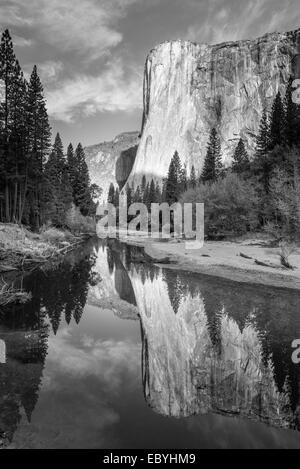 El Capitan spiegelt sich in den Merced River, Yosemite Valley, Kalifornien, USA. Herbst (Oktober) 2014.