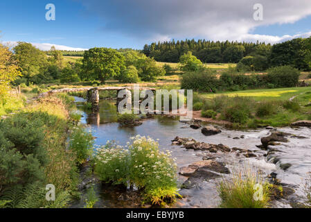 Antike Klöppel Brücke bei Postbridge, Dartmoor Nationalpark, Devon, England. (Juli) im Sommer 2014. Stockfoto