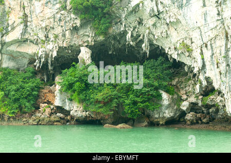 Tropfsteinhöhle in Halong Bucht, Vietnam Stockfoto