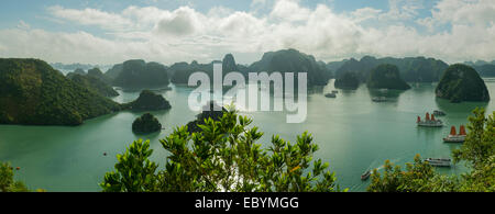 Halong Bucht-Panorama von Ti Top Insel, Vietnam Stockfoto