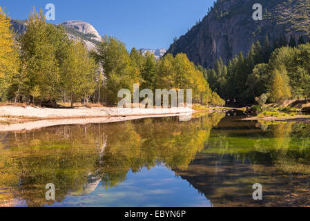 Herbstfärbung an den Ufern des Flusses Merced, Yosemite Valley, Kalifornien, USA. Herbst (Oktober) 2014. Stockfoto