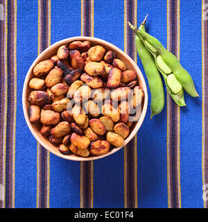 Geröstete Bohnen (lat. Vicia Faba, Südamerika: Haba) als Snack in Bolivien, serviert im Ton-Schale gegessen Stockfoto