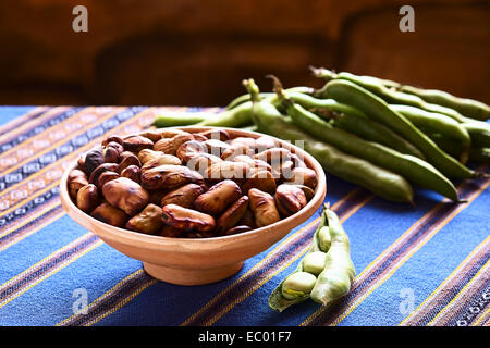 Geröstete Bohnen (lat. Vicia Faba, Südamerika: Haba) als Snack in Bolivien, serviert im Ton-Schale gegessen Stockfoto