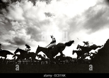 Grand National, Beechers Brook. Stockfoto