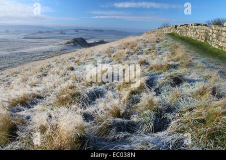 Frost am Hadrianswall Stockfoto