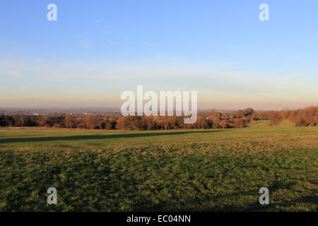 London, England, Vereinigtes Königreich. 6. Dezember 2014. Nach einem feinen, trockenen und windstillen Tag war eine braune Schicht von Smog über der Skyline von London gesehen hier Blick nach Norden von Epsom Downs Golf Course in Surrey sichtbar. Bildnachweis: Julia Gavin UK/Alamy Live-Nachrichten Stockfoto