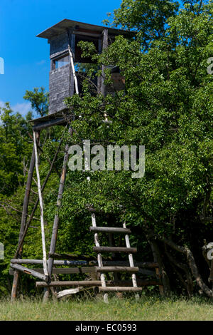 Holzjagdstand am Waldrand, Holzturm der Tschechischen Republik am Waldrand Stockfoto