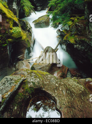 Silky Avalanche Creek eilt durch eine enge Schlucht mit Schlagloch Rock im Vordergrund. Glacier National Park, Montana Stockfoto