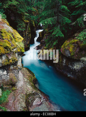 Das tiefblaue Wasser des berühmten Avalanche Creek Schlucht rauscht durch einen schmalen Durchgang. Glacier National Park, Montana Stockfoto