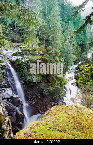 Nooksack Falls ist ein Wasserfall entlang der North Fork des Flusses Nooksack im Whatcom County, Washington. Stockfoto