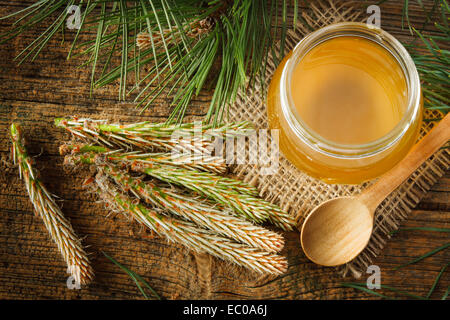 Hausgemachten Sirup aus grünen jungen Kiefern Knospen und Zucker Stockfoto