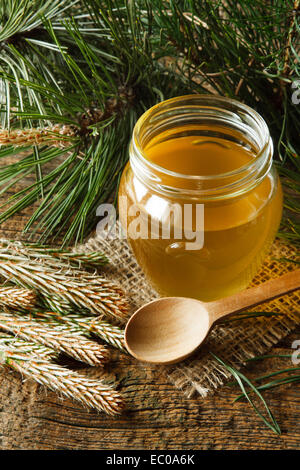 Hausgemachten Sirup aus grünen jungen Kiefern Knospen und Zucker Stockfoto