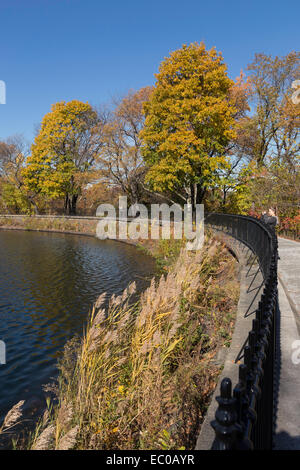 Das Reservoir im Central Park, New York, USA Stockfoto