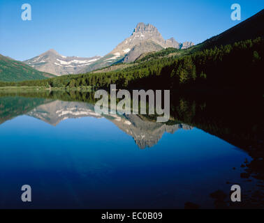 Mt. Wilbur spiegelt perfekt in Swiftcurrent Lake kurz nach Sonnenaufgang Stockfoto