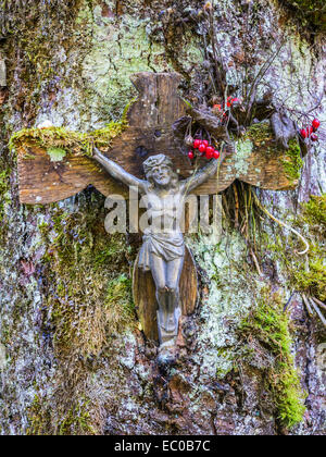 Ein Kruzifix an einem Baum in einem Schweizer Holz Stockfoto