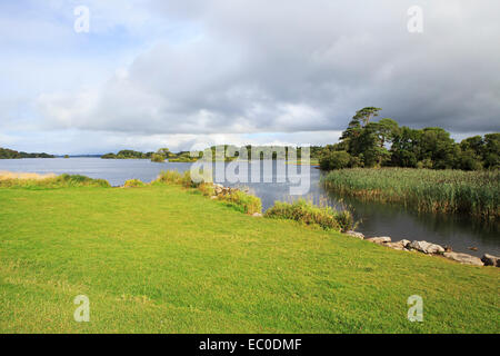 Ross Bay Lough Leane Untersee. Stockfoto