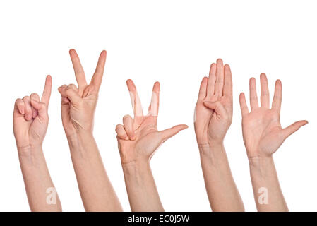 Kaukasische weiße weibliche Hände zählen von eins bis fünf Finger, isoliert auf weißem Hintergrund. Stockfoto